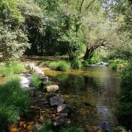 Boutique 